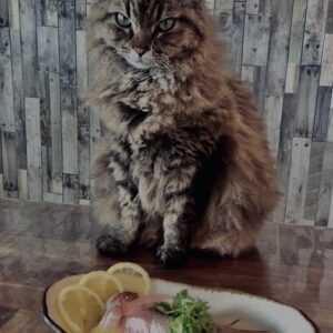 魚料理,和食,マース煮,煮魚,レモン,三つ葉,レモン料理,レモン煮込み,