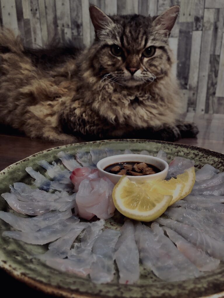 カワハギ,刺身,薄造り,肝醤油,レモン,和食,