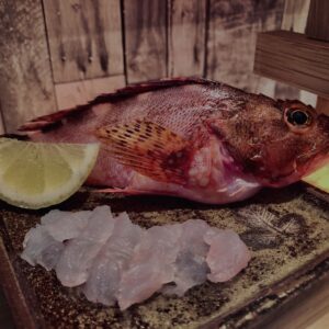カサゴ,刺身,薄造り,レモン,根魚,和食,