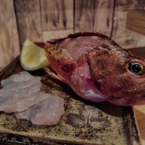 カサゴ,刺身,薄造り,レモン,根魚,和食,
