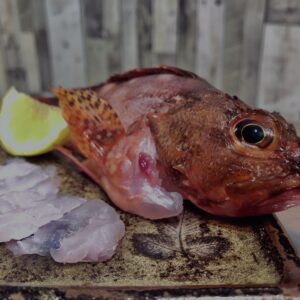 カサゴ,刺身,薄造り,レモン,根魚,和食,