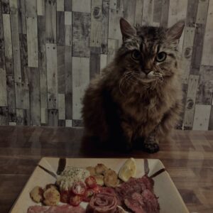 和牛,山形牛,サーロイン,猫,猫ごはん,