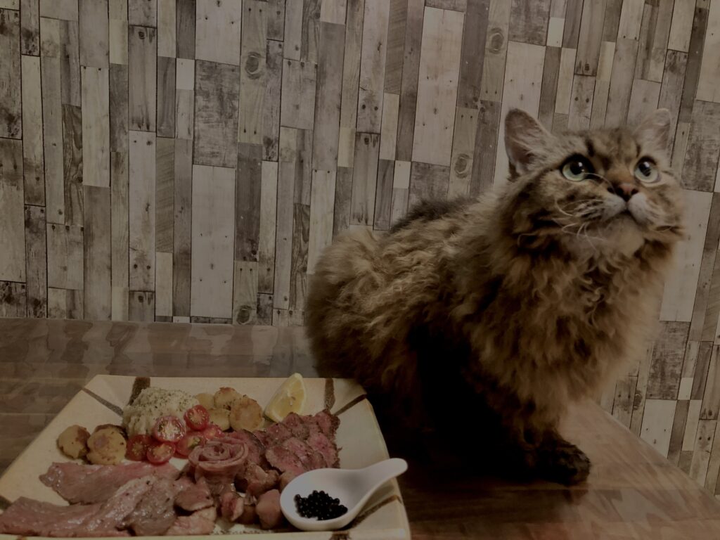 和牛,山形牛,サーロイン,猫,猫ごはん,