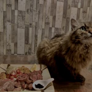 和牛,山形牛,サーロイン,猫,猫ごはん,