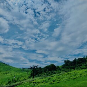 谷川岳,緑,新緑,登山,トレッキング,群馬,