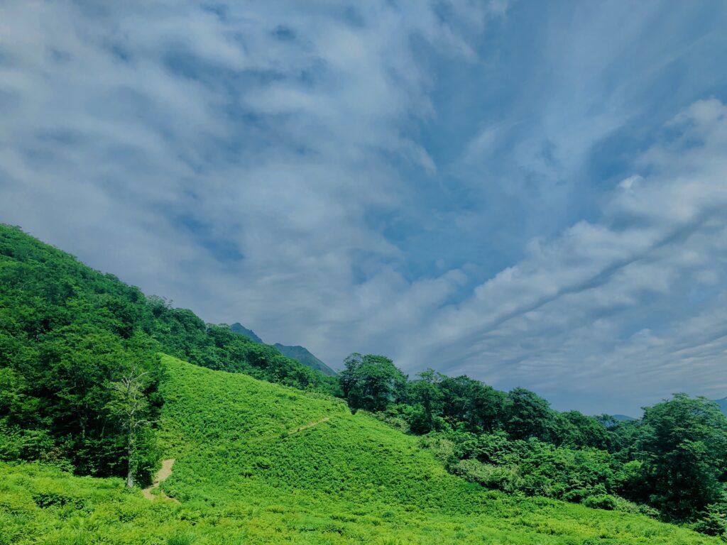 谷川岳,緑,新緑,登山,トレッキング,群馬,山,