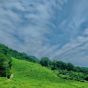 谷川岳,緑,新緑,登山,トレッキング,群馬,山,