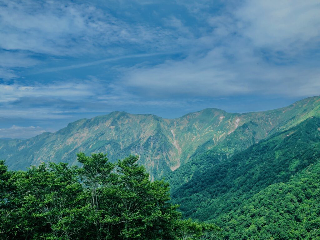 谷川岳,緑,新緑,登山,トレッキング,群馬,山,