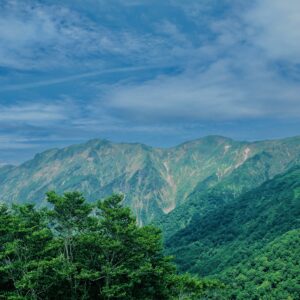 谷川岳,緑,新緑,登山,トレッキング,群馬,山,