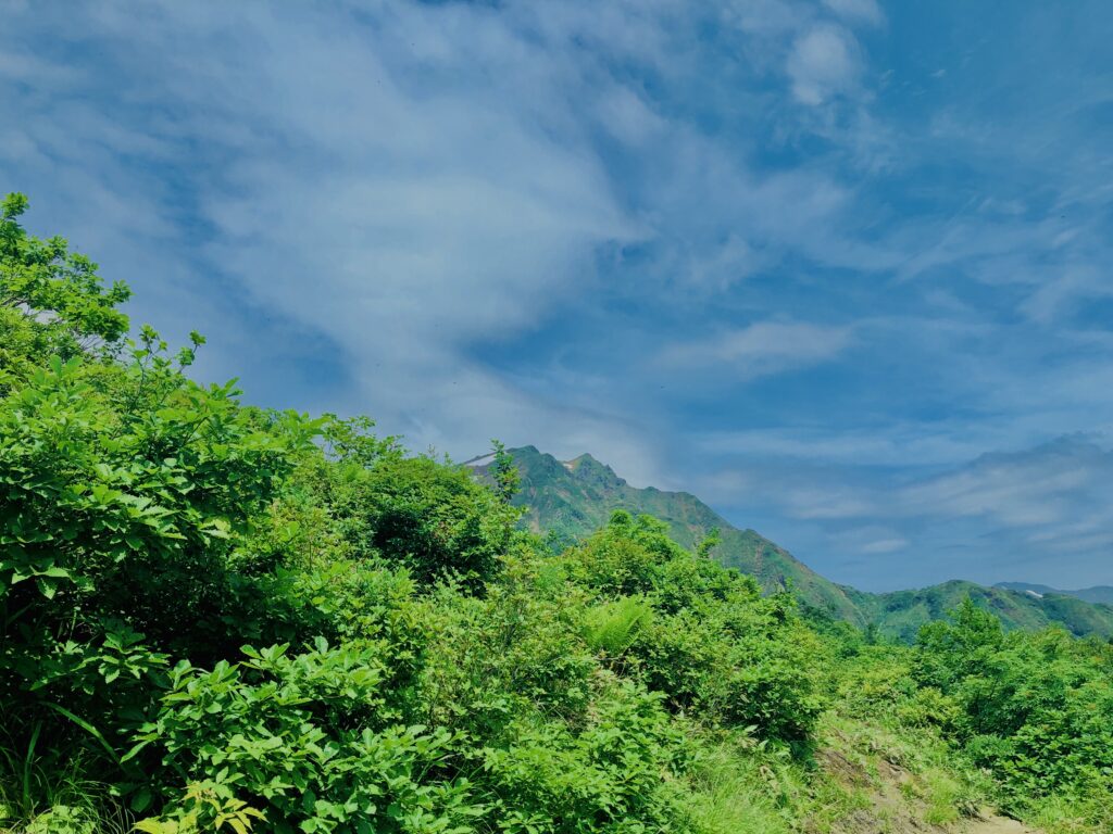 谷川岳,緑,新緑,登山,トレッキング,群馬,山,