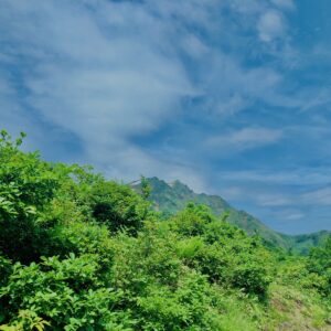 谷川岳,緑,新緑,登山,トレッキング,群馬,山,