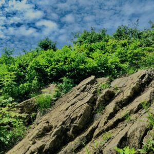 谷川岳,緑,新緑,登山,トレッキング,群馬,山,