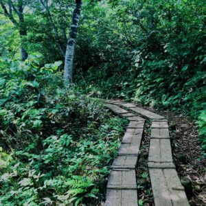 谷川岳,緑,新緑,登山,トレッキング,群馬,山,