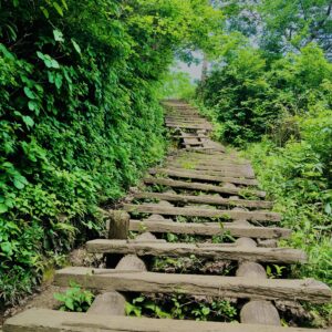 谷川岳,緑,新緑,登山,トレッキング,群馬,山,