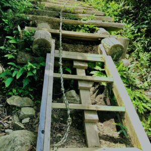 谷川岳,緑,新緑,登山,トレッキング,群馬,山,