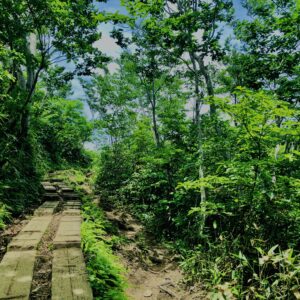 谷川岳,緑,新緑,登山,トレッキング,群馬,山,