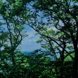 谷川岳,緑,新緑,登山,トレッキング,群馬,山,