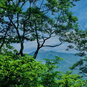 谷川岳,緑,新緑,登山,トレッキング,群馬,山,