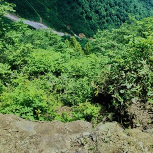 谷川岳,緑,新緑,登山,トレッキング,群馬,山,