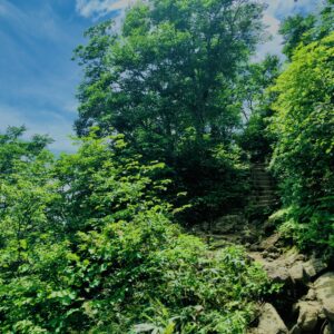 谷川岳,緑,新緑,登山,トレッキング,群馬,山,