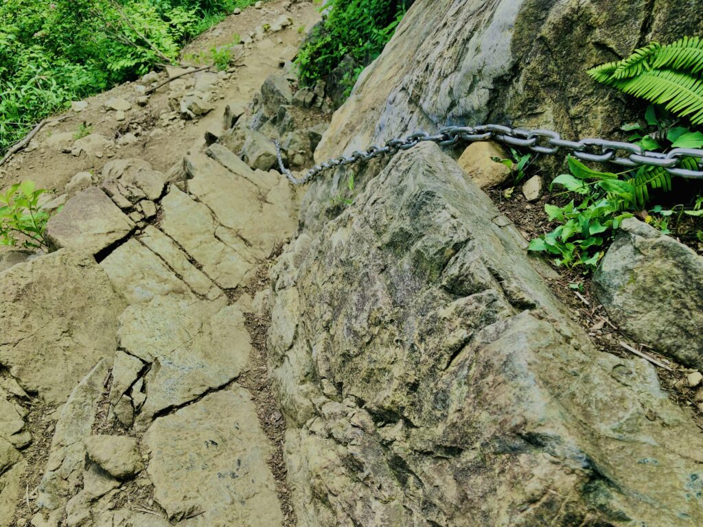 谷川岳,緑,新緑,登山,トレッキング,群馬,山,
