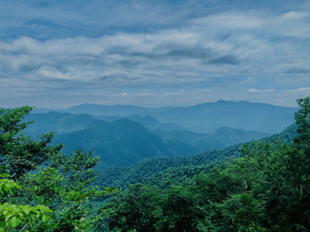 谷川岳,緑,新緑,登山,トレッキング,群馬,山,