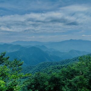 谷川岳,緑,新緑,登山,トレッキング,群馬,山,