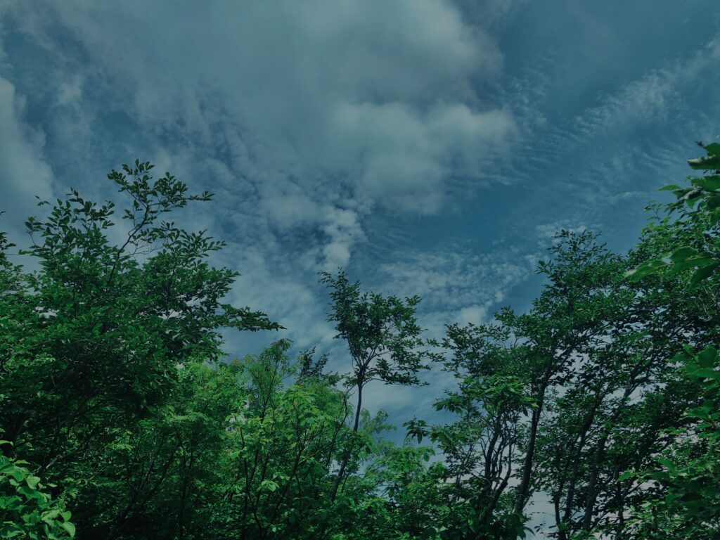 谷川岳,緑,新緑,登山,トレッキング,群馬,山,