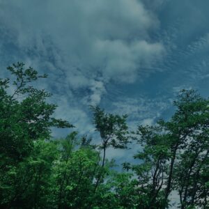 谷川岳,緑,新緑,登山,トレッキング,群馬,山,