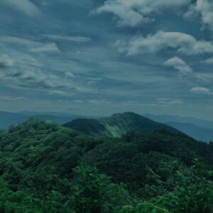 谷川岳,緑,新緑,登山,トレッキング,群馬,山,