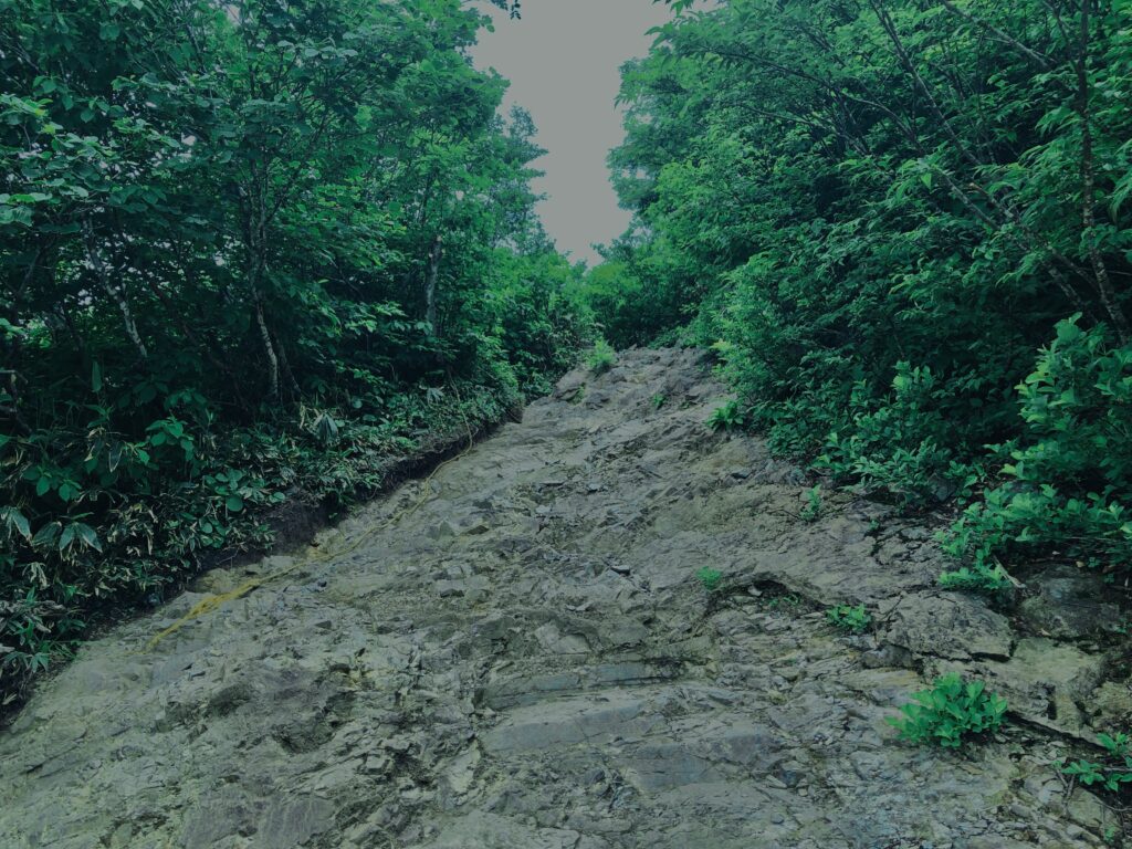 谷川岳,緑,新緑,登山,トレッキング,群馬,山,