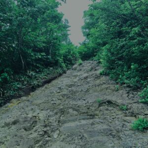 谷川岳,緑,新緑,登山,トレッキング,群馬,山,