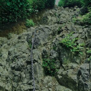 谷川岳,緑,新緑,登山,トレッキング,群馬,山,