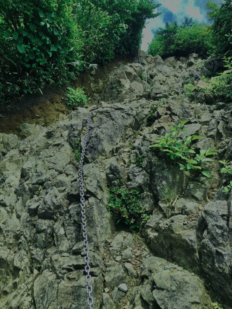 谷川岳,緑,新緑,登山,トレッキング,群馬,山,