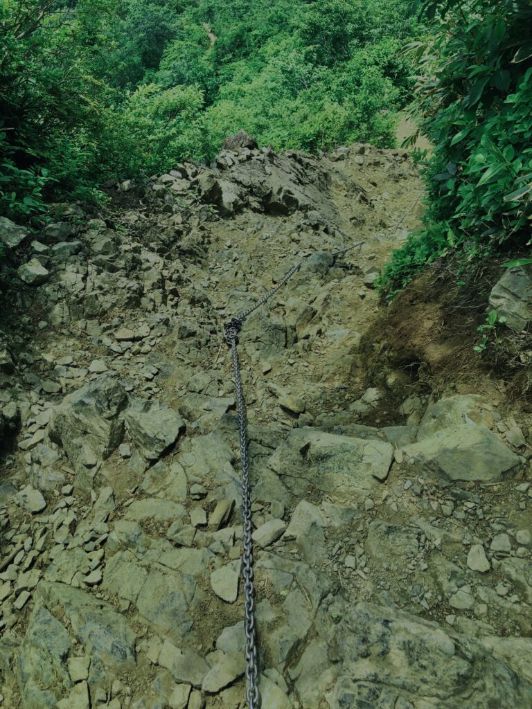 谷川岳,緑,新緑,登山,トレッキング,群馬,山,