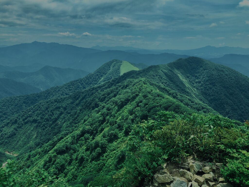 谷川岳,緑,新緑,登山,トレッキング,群馬,山,