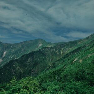 谷川岳,緑,新緑,登山,トレッキング,群馬,山,