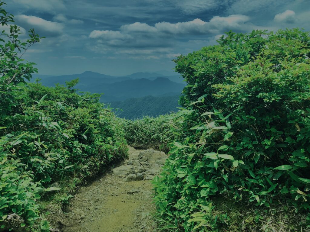 谷川岳,緑,新緑,登山,トレッキング,群馬,山,