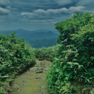 谷川岳,緑,新緑,登山,トレッキング,群馬,山,