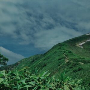 谷川岳,緑,新緑,登山,トレッキング,群馬,山,
