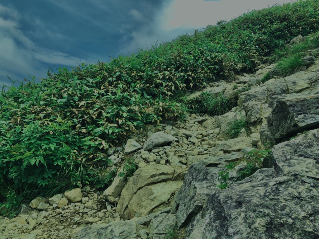 谷川岳,緑,新緑,登山,トレッキング,群馬,山,