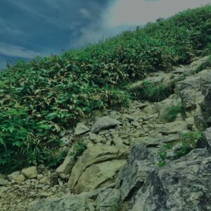 谷川岳,緑,新緑,登山,トレッキング,群馬,山,