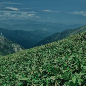 谷川岳,緑,新緑,登山,トレッキング,群馬,山,