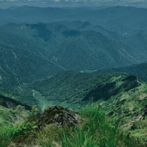 谷川岳,緑,新緑,登山,トレッキング,群馬,山,