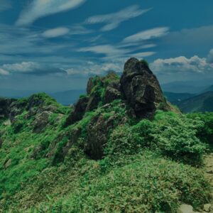 谷川岳,緑,新緑,登山,トレッキング,群馬,山,