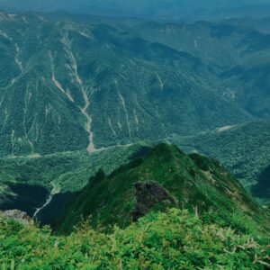 谷川岳,緑,新緑,登山,トレッキング,群馬,山,