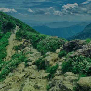 谷川岳,緑,新緑,登山,トレッキング,群馬,山,