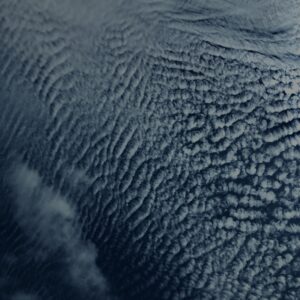 玉原湿原,湿原,群馬,水辺,池,