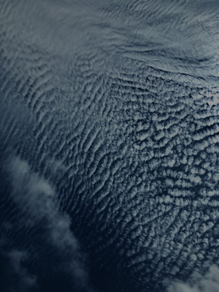 玉原湿原,湿原,群馬,水辺,池,