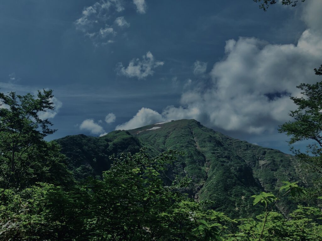 玉原湿原,湿原,群馬,水辺,池,